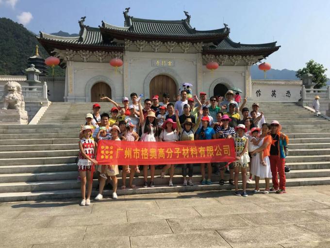 Gros PSAF gratuit Résistant à l'eau Résistant à l'eau pour les tissus cuir Protecteur de meubles Soins des meubles Spray résistant à l'eau 16