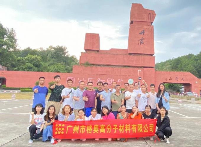 Gros PSAF gratuit Résistant à l'eau Résistant à l'eau pour les tissus cuir Protecteur de meubles Soins des meubles Spray résistant à l'eau 18