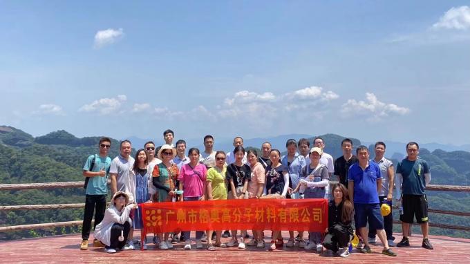 Gros PSAF gratuit Résistant à l'eau Résistant à l'eau pour les tissus cuir Protecteur de meubles Soins des meubles Spray résistant à l'eau 19