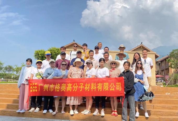 Gros PSAF gratuit Résistant à l'eau Résistant à l'eau pour les tissus cuir Protecteur de meubles Soins des meubles Spray résistant à l'eau 21