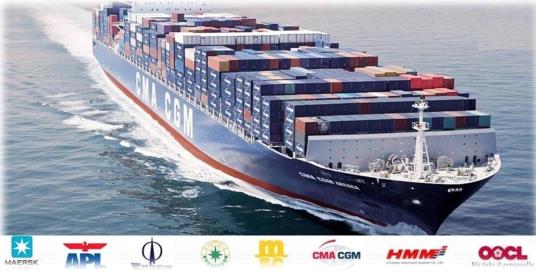 Tableau de glisse de hockey sur mesure Polonais Premium Silicone Spray Safe pour les carreaux de hockey 3